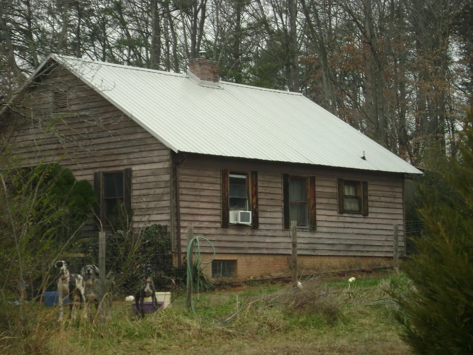 White metal roof on an old wood sided farmhouse, from a Asphalt Shingle Roof Repair job in Saint Lucas